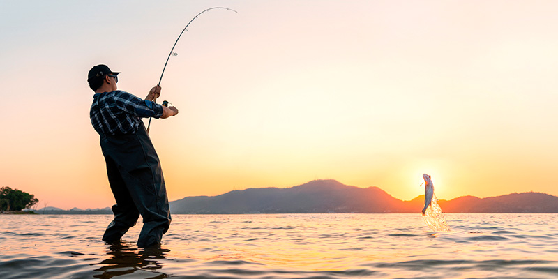 Catching the Big Fish: How to Land Larger Retrofit Clients